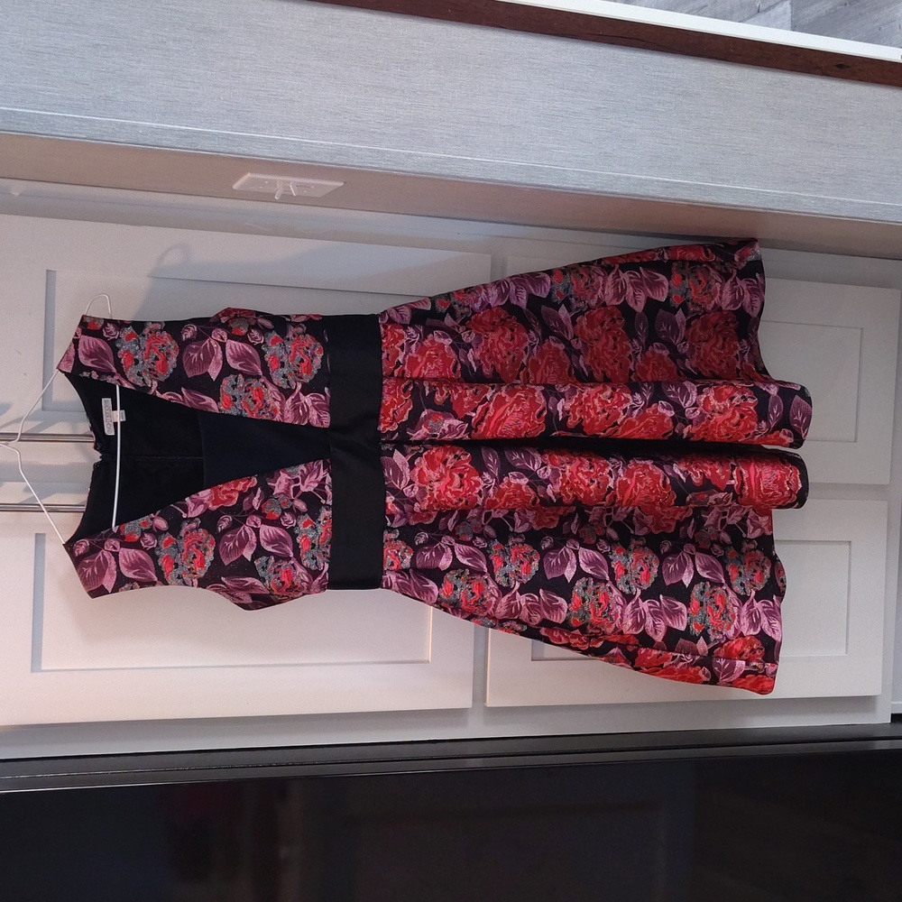 Eva Mendes for New York & Company Black and Red Floral Mini Dress